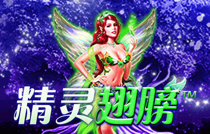 6t体育下载